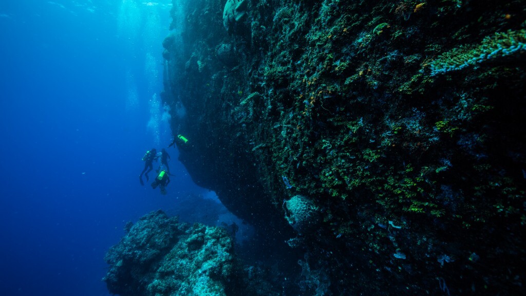 Papua Nova Guiné é um dos destinos de mergulho com vida marinha mais rica do mundo