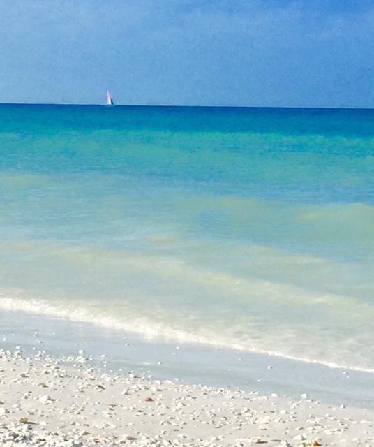 Mar azul turquesa e areia branca em Paradise Coast