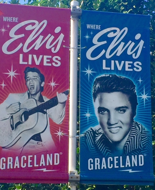 cartazes na bilheteira: Gracelande onde vive Elvis 